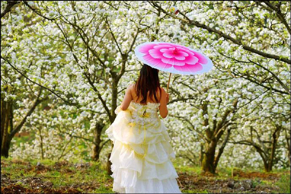 【春天，广西桂林灌阳县向您发出邀请！】我们在灌阳看梨花 - 游山玩水 - 潮州生活社区 - 潮州28生活网 chaozhou.28life.com