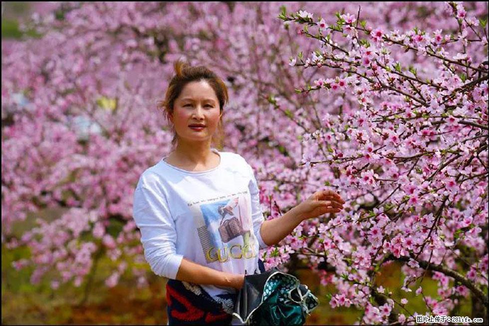 【春天，广西桂林灌阳县向您发出邀请！】官庄村有个醉美的桃花园 - 游山玩水 - 潮州生活社区 - 潮州28生活网 chaozhou.28life.com