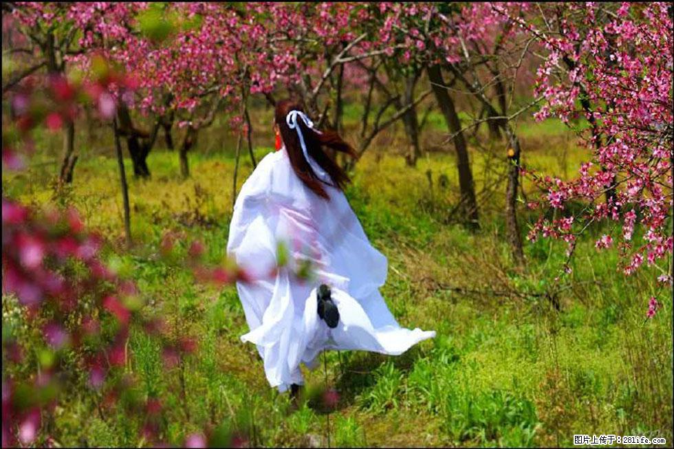 【春天，广西桂林灌阳县向您发出邀请！】官庄村有个醉美的桃花园 - 游山玩水 - 潮州生活社区 - 潮州28生活网 chaozhou.28life.com