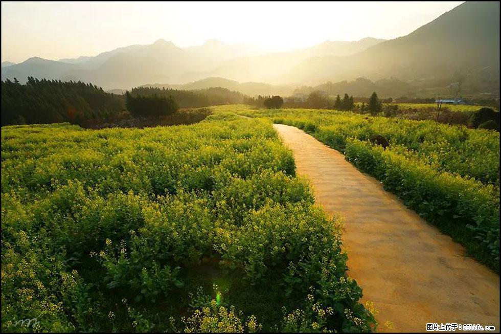 【春天，广西桂林灌阳县向您发出邀请！】长坪村油菜盛情花开 - 游山玩水 - 潮州生活社区 - 潮州28生活网 chaozhou.28life.com