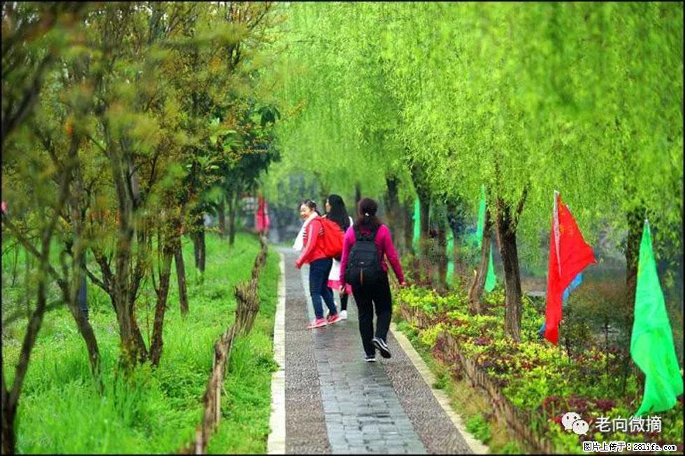 【春天，广西桂林灌阳县向您发出邀请！】江口老街又逢春 - 游山玩水 - 潮州生活社区 - 潮州28生活网 chaozhou.28life.com