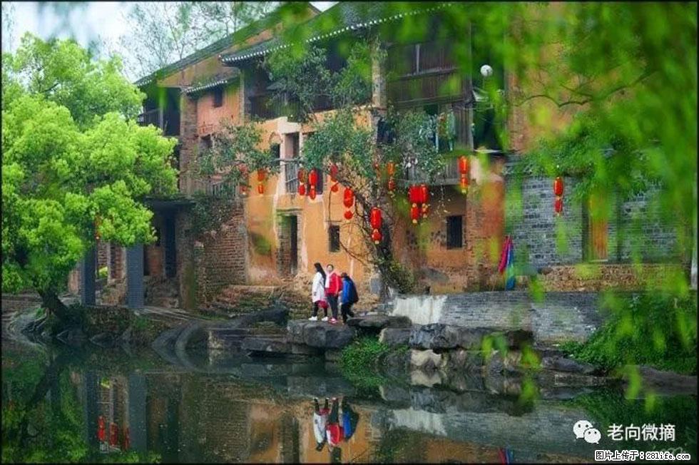 【春天，广西桂林灌阳县向您发出邀请！】江口老街又逢春 - 游山玩水 - 潮州生活社区 - 潮州28生活网 chaozhou.28life.com