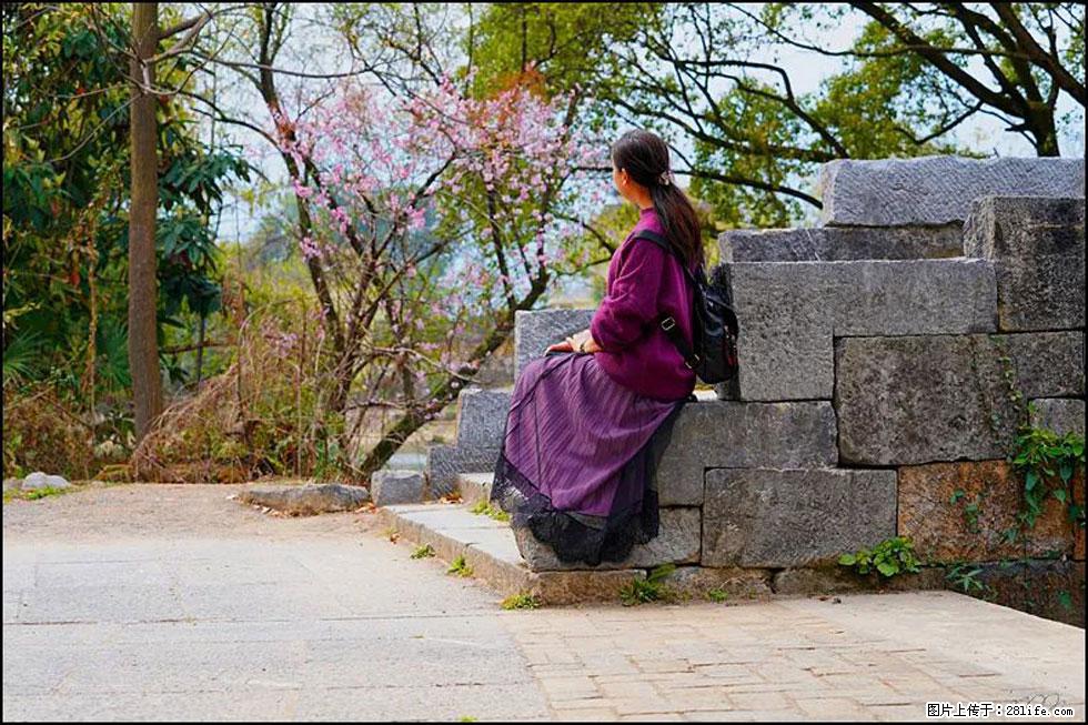 【春天，广西桂林灌阳县向您发出邀请！】江口老街又逢春 - 游山玩水 - 潮州生活社区 - 潮州28生活网 chaozhou.28life.com