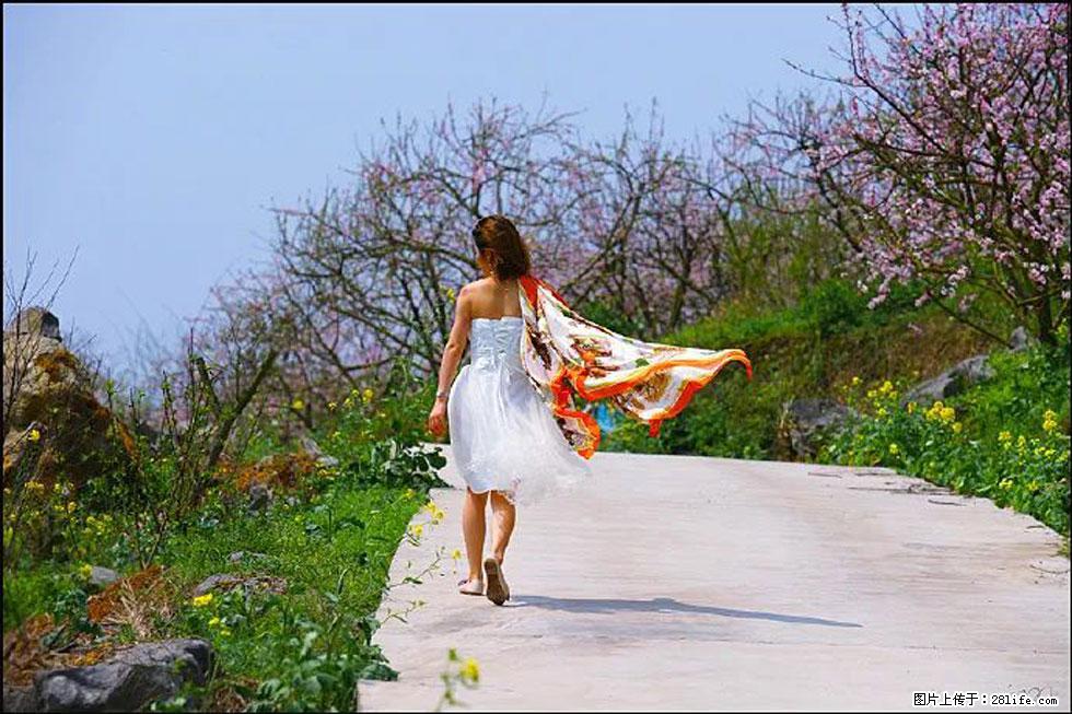 【春天，广西桂林灌阳县向您发出邀请！】望月岭上桃花开 - 游山玩水 - 潮州生活社区 - 潮州28生活网 chaozhou.28life.com