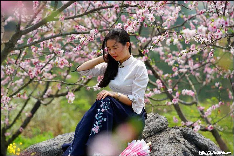 【春天，广西桂林灌阳县向您发出邀请！】望月岭上桃花开 - 游山玩水 - 潮州生活社区 - 潮州28生活网 chaozhou.28life.com