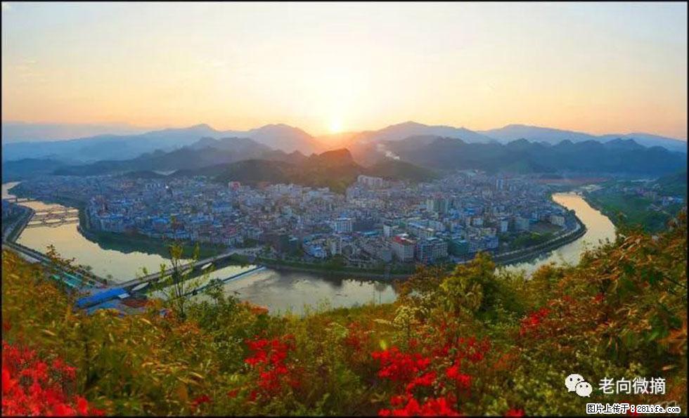 【春天，广西桂林灌阳县向您发出邀请！】登麒麟山，相约映山红 - 游山玩水 - 潮州生活社区 - 潮州28生活网 chaozhou.28life.com