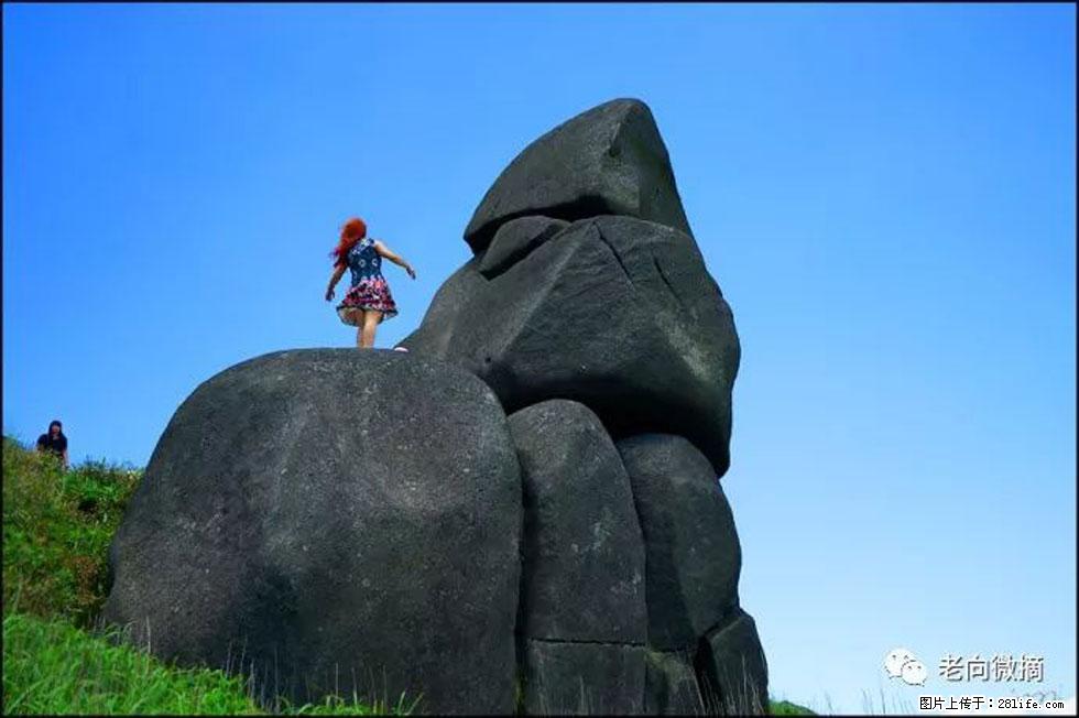 【春天，广西桂林灌阳县向您发出邀请！】宝盖山上映山红 - 游山玩水 - 潮州生活社区 - 潮州28生活网 chaozhou.28life.com