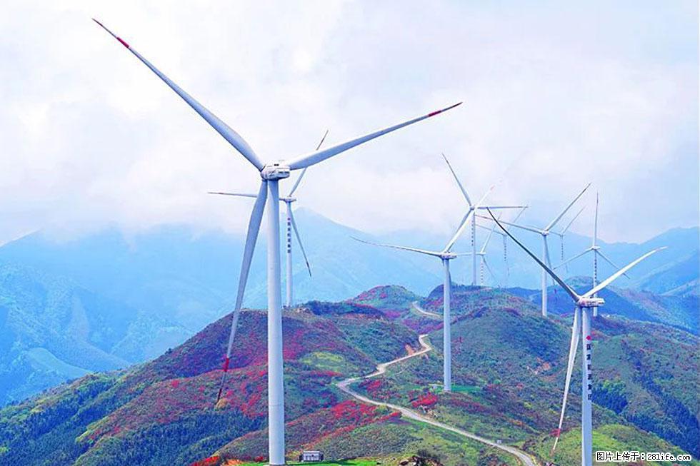 【春天，广西桂林灌阳县向您发出邀请！】春木界上映山红 - 游山玩水 - 潮州生活社区 - 潮州28生活网 chaozhou.28life.com