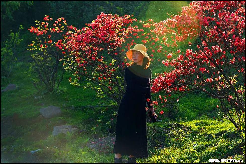 【春天，广西桂林灌阳县向您发出邀请！】春木界上映山红 - 游山玩水 - 潮州生活社区 - 潮州28生活网 chaozhou.28life.com