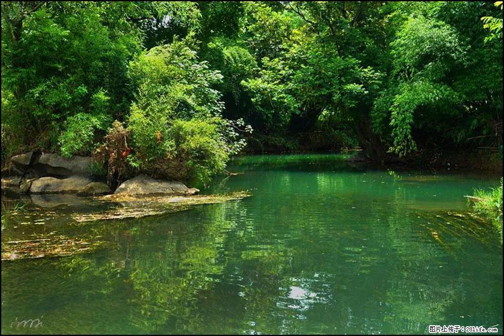 【春天，广西桂林灌阳县向您发出邀请！】如梦似幻莲溪庐 - 游山玩水 - 潮州生活社区 - 潮州28生活网 chaozhou.28life.com