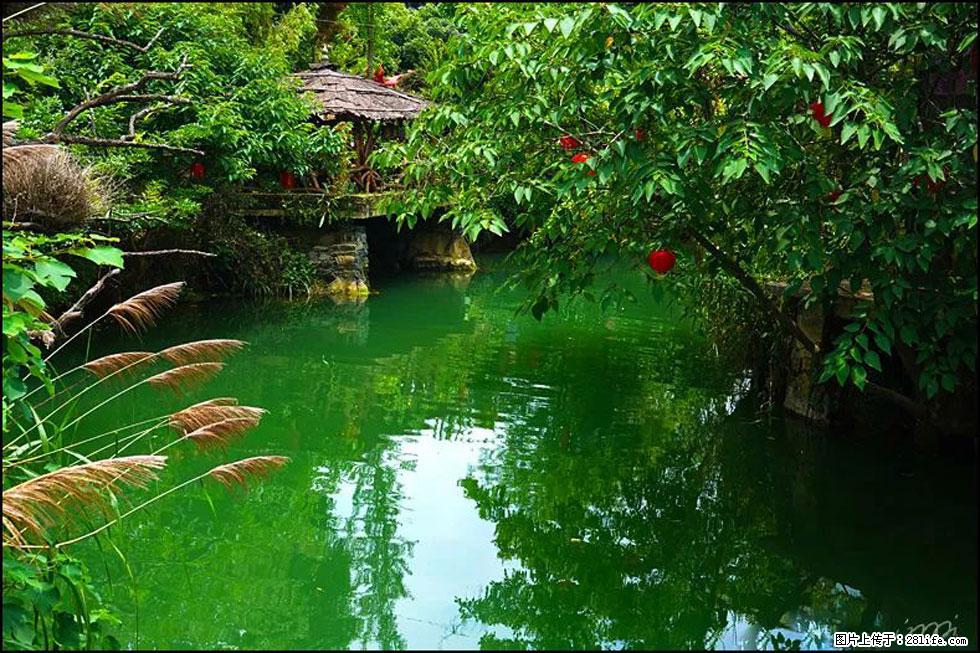 【春天，广西桂林灌阳县向您发出邀请！】如梦似幻莲溪庐 - 游山玩水 - 潮州生活社区 - 潮州28生活网 chaozhou.28life.com
