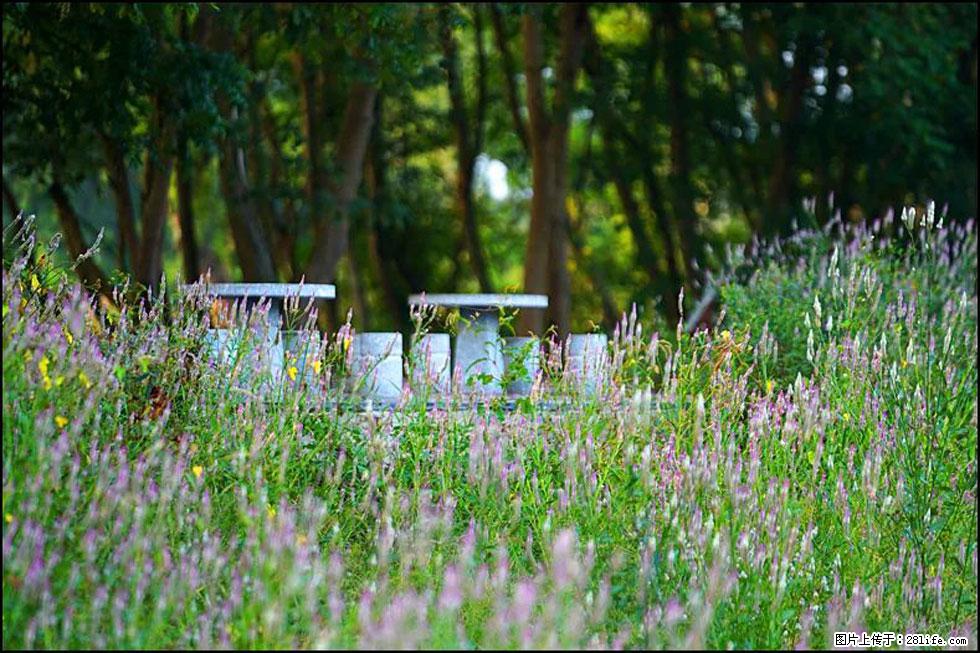 【春天,广西桂林灌阳县向您发出邀请!】熊家寨湿地公园 - 游山玩水 - 潮州生活社区 - 潮州28生活网 chaozhou.28life.com