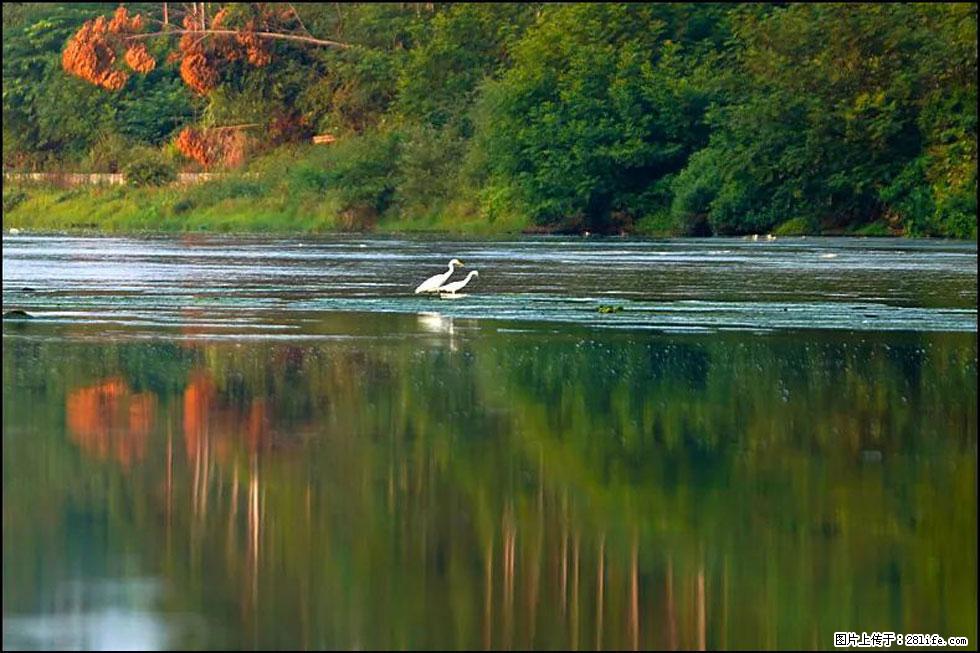 【春天,广西桂林灌阳县向您发出邀请!】熊家寨湿地公园 - 游山玩水 - 潮州生活社区 - 潮州28生活网 chaozhou.28life.com