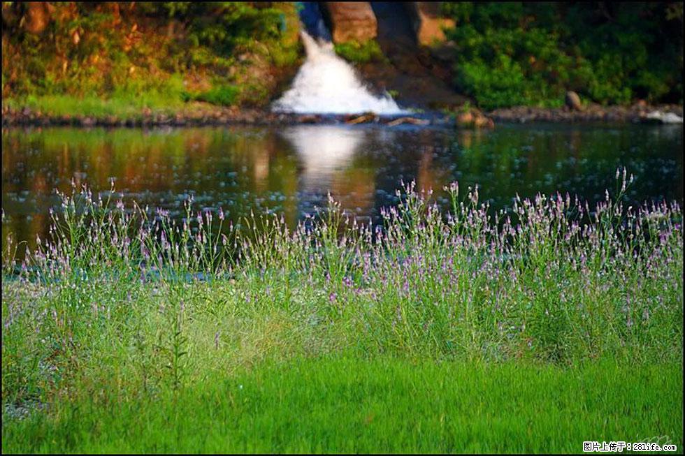 【春天,广西桂林灌阳县向您发出邀请!】熊家寨湿地公园 - 游山玩水 - 潮州生活社区 - 潮州28生活网 chaozhou.28life.com