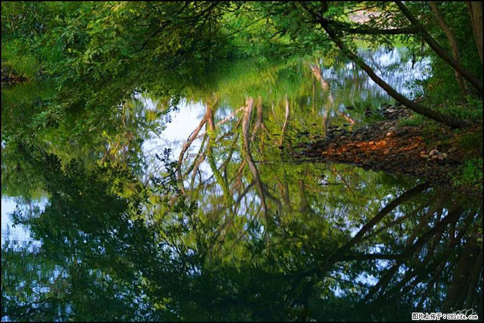 【春天,广西桂林灌阳县向您发出邀请!】熊家寨湿地公园 - 游山玩水 - 潮州生活社区 - 潮州28生活网 chaozhou.28life.com