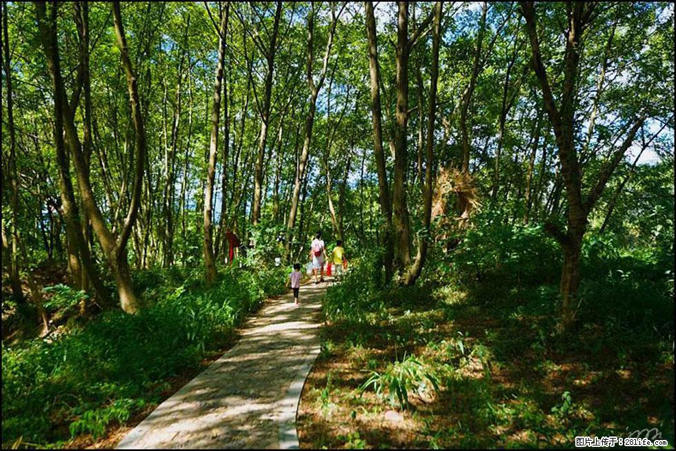 【春天,广西桂林灌阳县向您发出邀请!】熊家寨湿地公园 - 游山玩水 - 潮州生活社区 - 潮州28生活网 chaozhou.28life.com