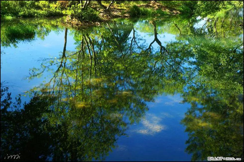 【春天,广西桂林灌阳县向您发出邀请!】熊家寨湿地公园 - 游山玩水 - 潮州生活社区 - 潮州28生活网 chaozhou.28life.com