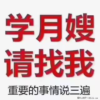 【招聘】月嫂，上海徐汇区 - 潮州28生活网 chaozhou.28life.com