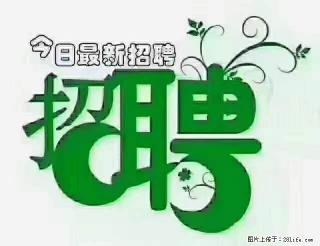 上海青浦区招仓管 - 潮州28生活网 chaozhou.28life.com