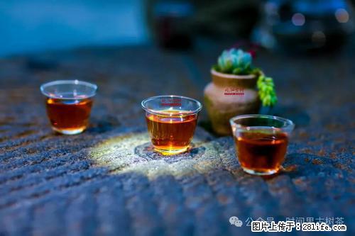 时间果百年古树2025年春红茶 - 购物交流 - 潮州生活社区 - 潮州28生活网 chaozhou.28life.com