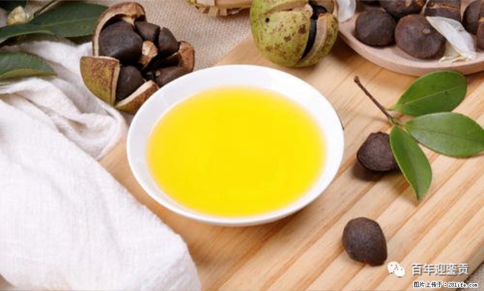 揭秘茶油的5大核心营养成分!被称为人体健康的“守护盾”! - 潮州生活资讯 - 潮州28生活网 chaozhou.28life.com