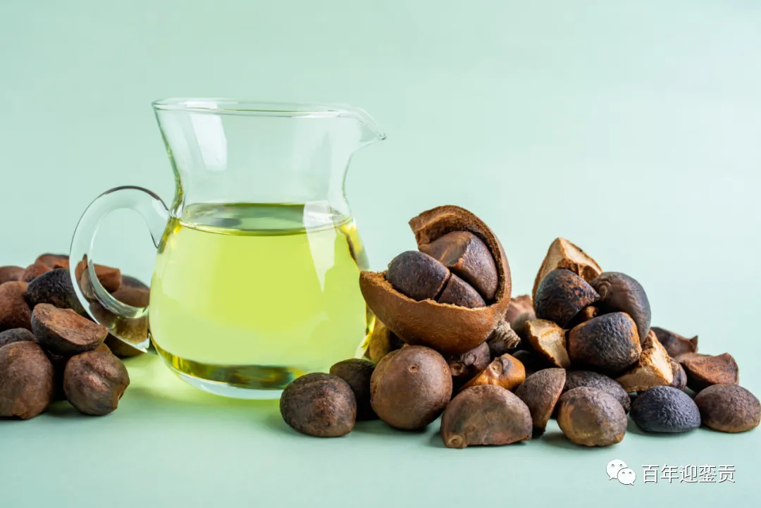 世界没有真相,只有认知,最好的食用油是中国的山茶油! - 潮州生活资讯 - 潮州28生活网 chaozhou.28life.com
