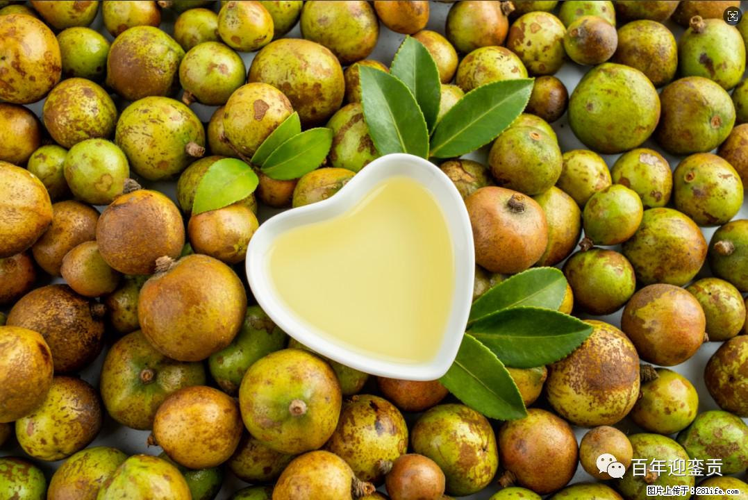 世界没有真相,只有认知,最好的食用油是中国的山茶油! - 潮州生活资讯 - 潮州28生活网 chaozhou.28life.com