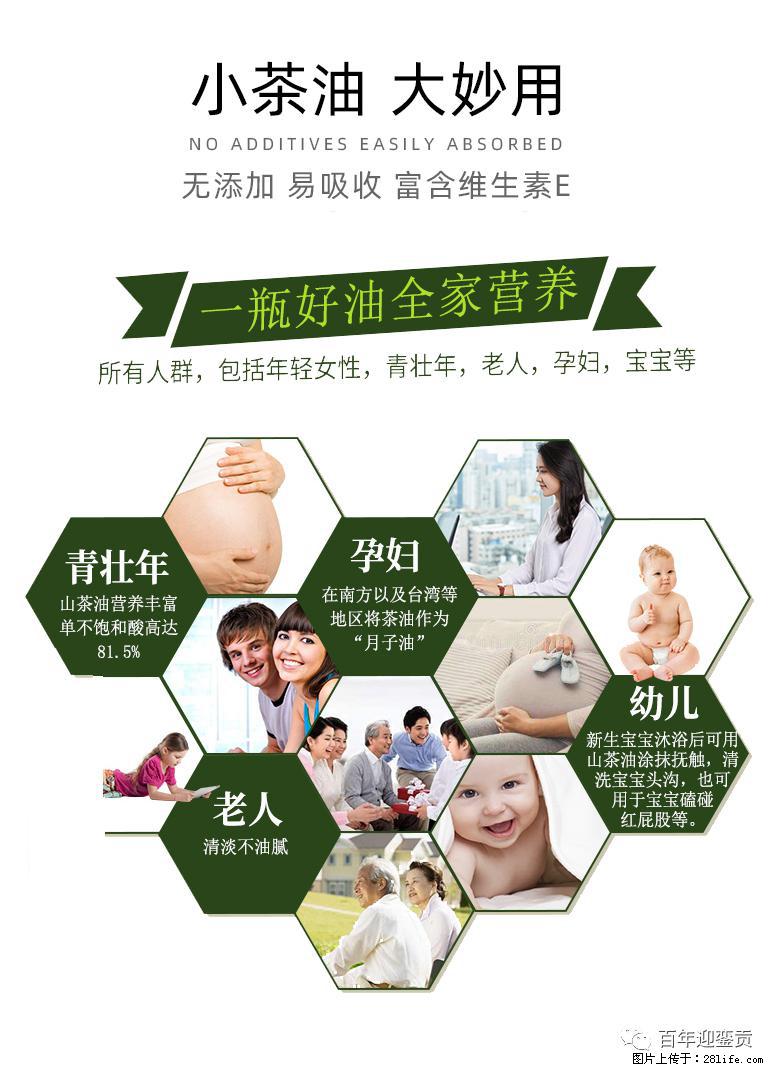 世界没有真相,只有认知,最好的食用油是中国的山茶油! - 潮州生活资讯 - 潮州28生活网 chaozhou.28life.com