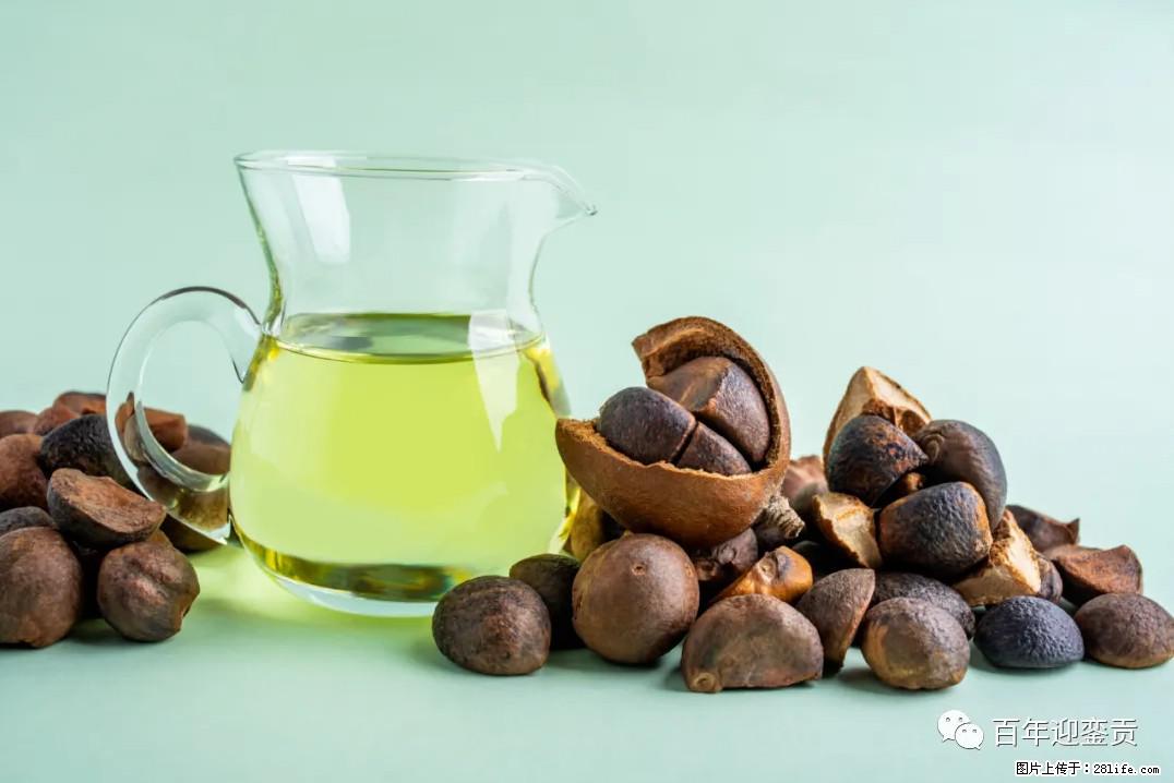 世界没有真相，只有认知，最好的食用油是中国的山茶油！ - 潮州生活资讯 - 潮州28生活网 chaozhou.28life.com