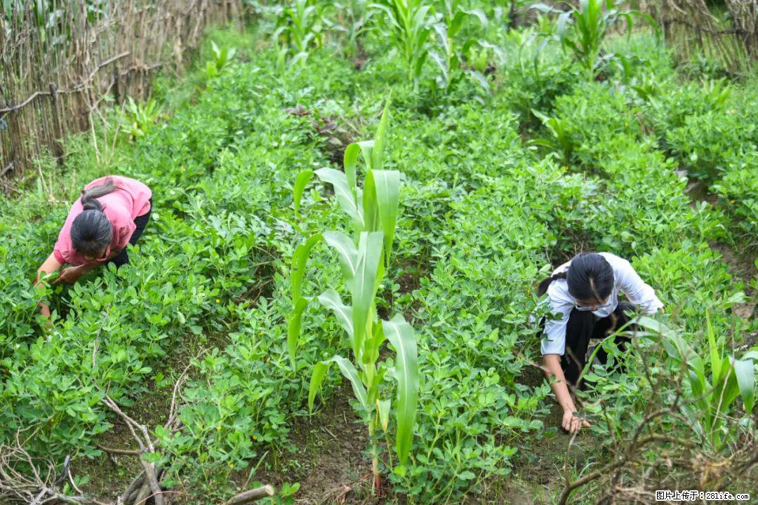 全网追的“扁担女孩”,找了一份暑假工,时薪12元 - 潮州生活资讯 - 潮州28生活网 chaozhou.28life.com