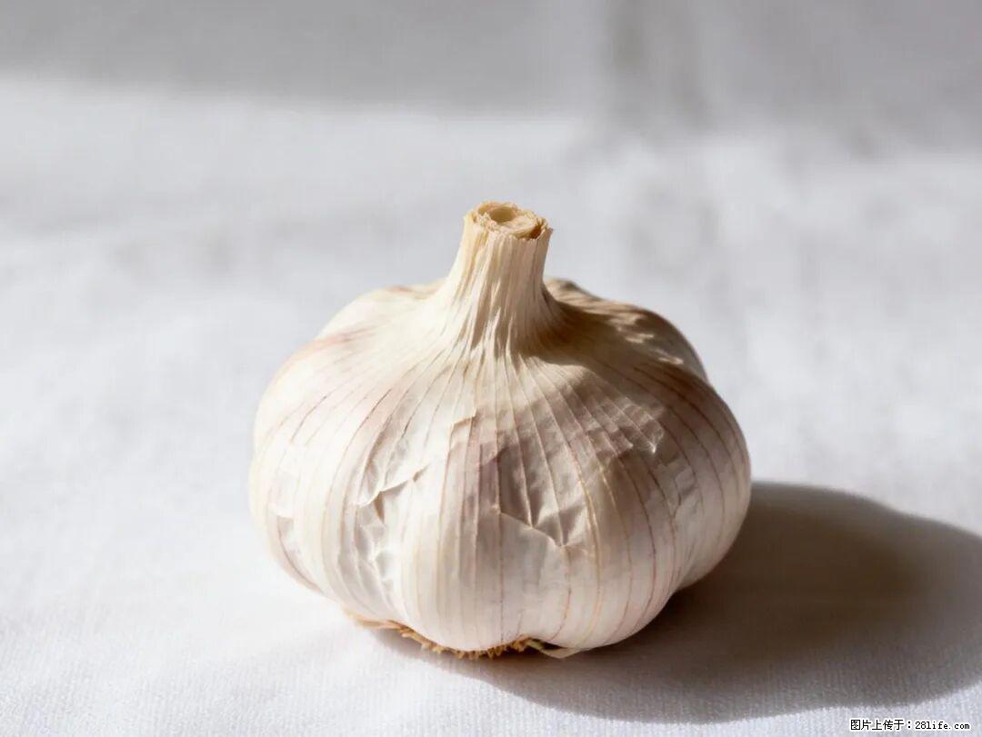 关于大蒜,除了“天然抗生素”,这4个谣言更该警惕! - 潮州生活资讯 - 潮州28生活网 chaozhou.28life.com