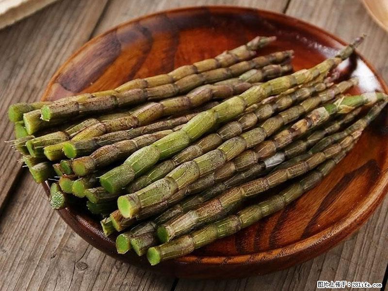 铁皮石斛的作用与功能主治 - 潮州生活资讯 - 潮州28生活网 chaozhou.28life.com